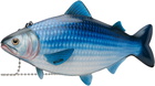 Moschino Blue Fish Bag