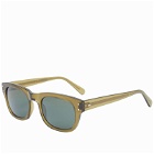Moscot Nebb Sunglasses in Olive Green