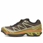 Salomon XT-6 GTX Sneaker in Delicioso/Tea/Plantation