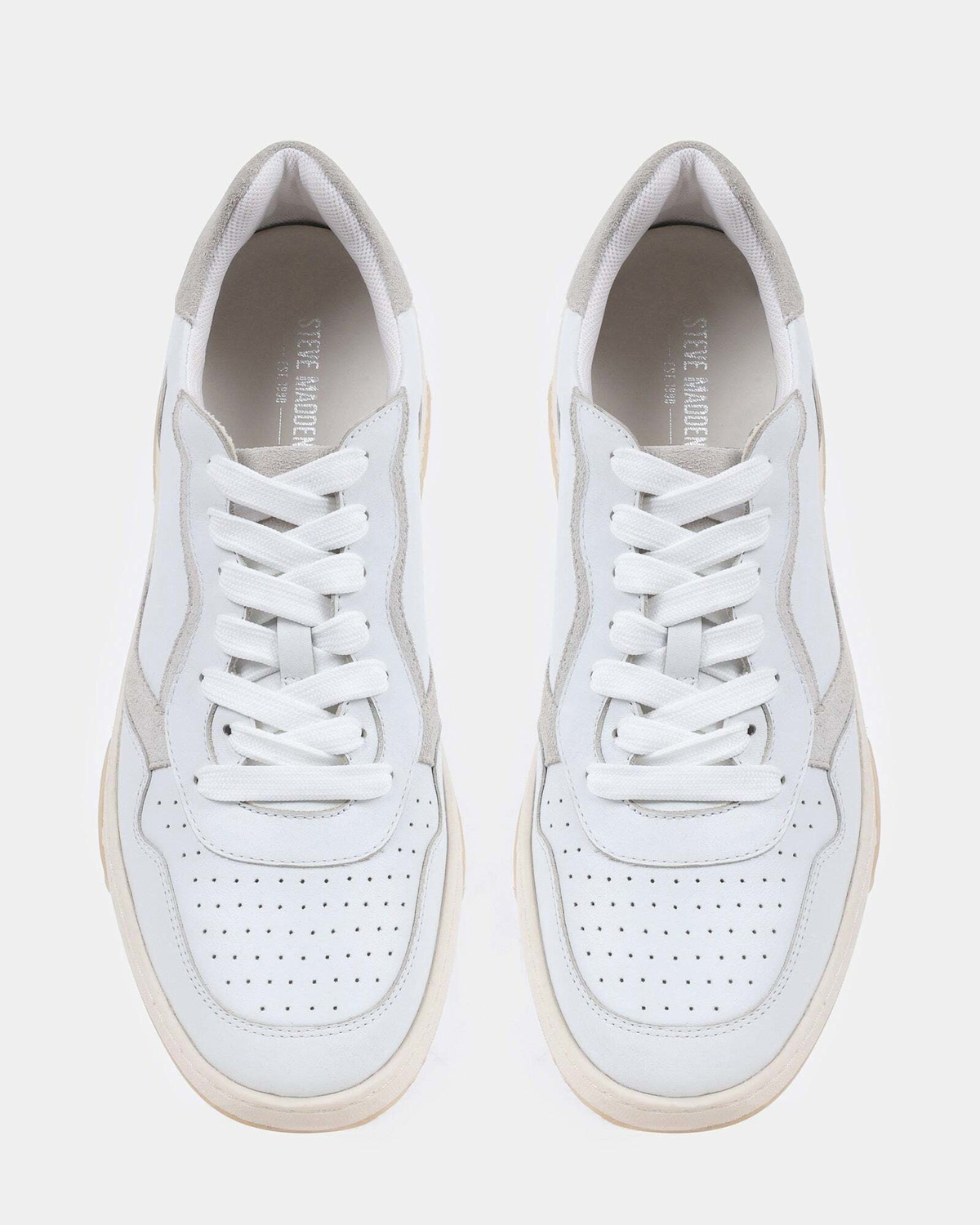 Steve Madden Satriani Sneakers in White