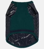 Moncler Moncler Poldo Dog Couture dog coat