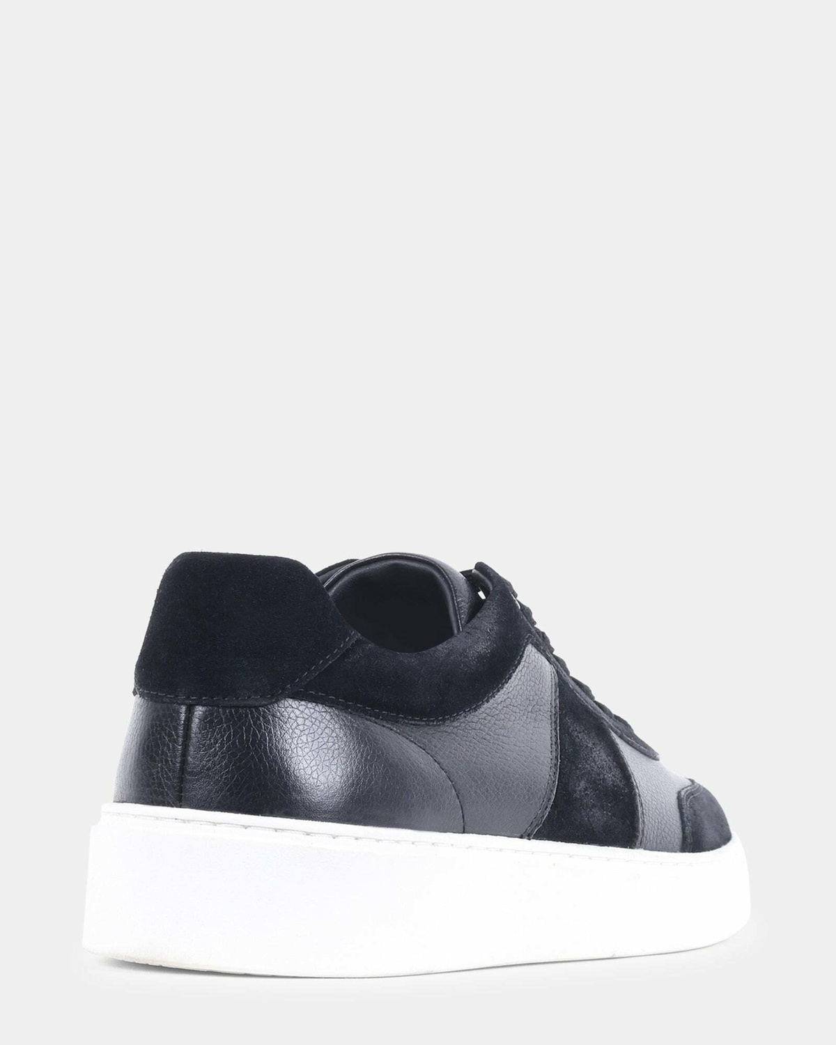 Steve Madden Addler Sneakers in Black