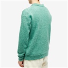 Auralee Men's Mohair Knit Polo Shirt in Jade Green