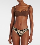Marysia Antibes scalloped bikini bottoms