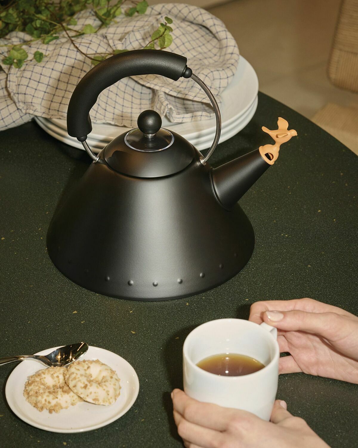 Alessi WASSERKESSEL Black Mens Kitchen- & Tableware