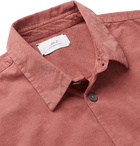 MR P. - Paul Stretch-Cotton Needlecord Shirt - Pink