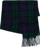 Bless Navy & Green Draps Scarf