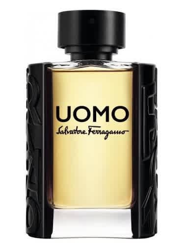 Uomo Salvatore Ferragamo / S. Ferragamo EDT Spray 3.4 oz (100 ml) (m)