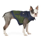 Dsquared2 Green Poldo Dog Couture Edition Vancouver Vest