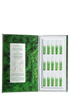 Royal Fern Phytoactive Illuminating Ampoules
