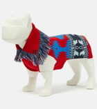 Alanui - x Poldo Dog Couture Icon dog sweater