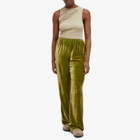 DONNI. Women's Velvet Simple Pants in Martini