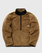 The North Face M Extreme Pile Pullover Brown - Mens - Fleece Jackets