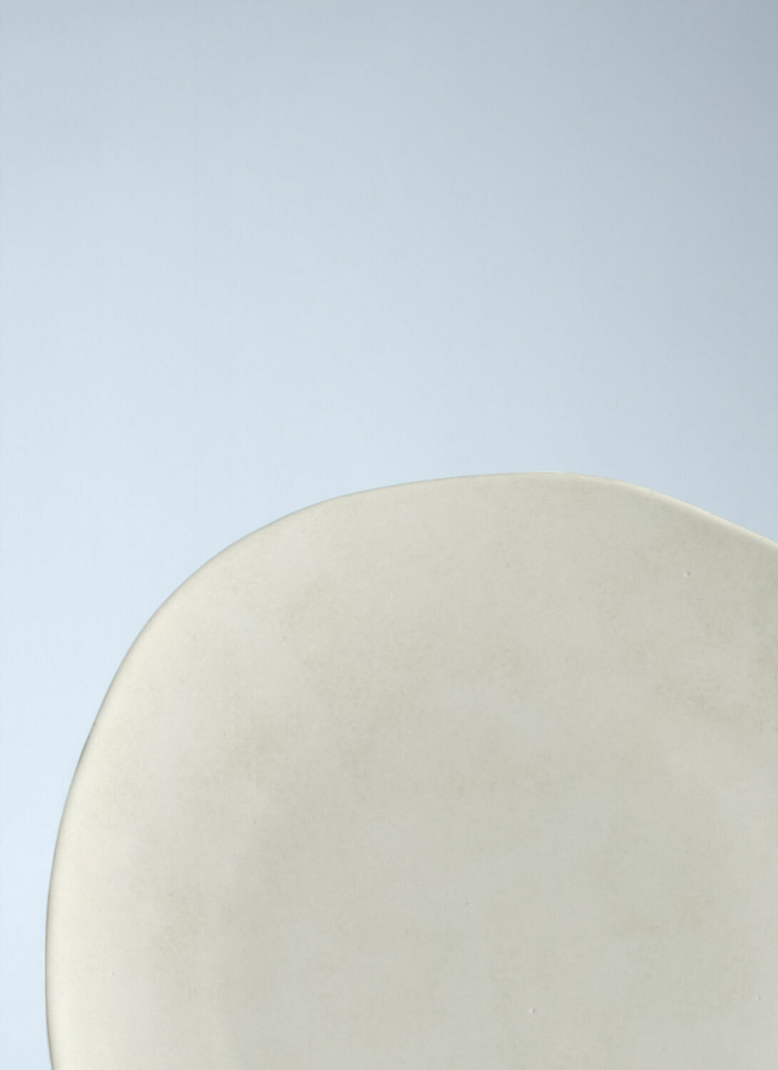 101 Copenhagen Set Of Two Native Dinner Plates