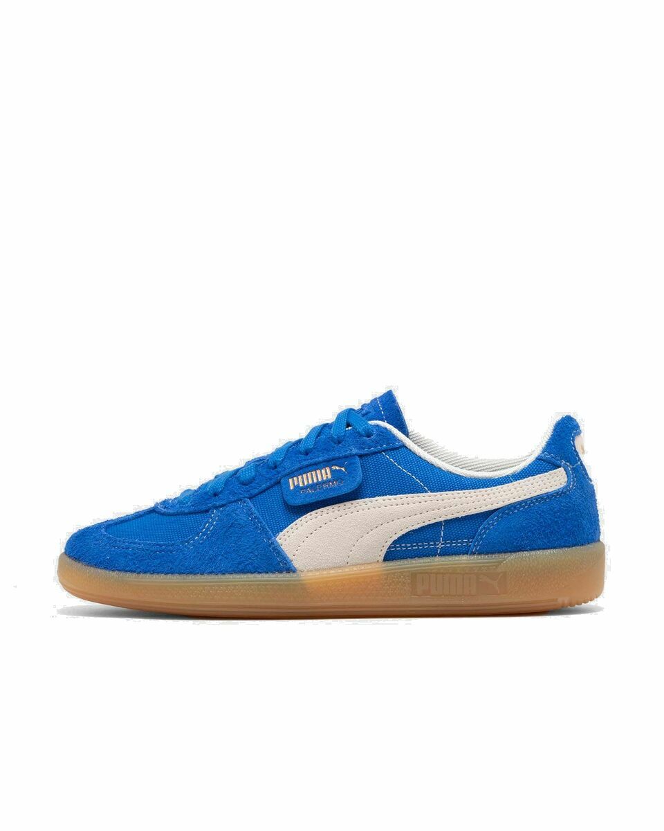 Photo: Puma Palermo Vintage Blue - Womens - Lowtop