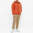 The North Face Men's Summit L3 5050 Down Hoody in Burnt Ochre