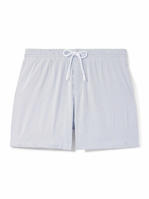 Photo: Loro Piana - Daneu Straight-Leg Mid-Length Striped Swim Shorts - Blue