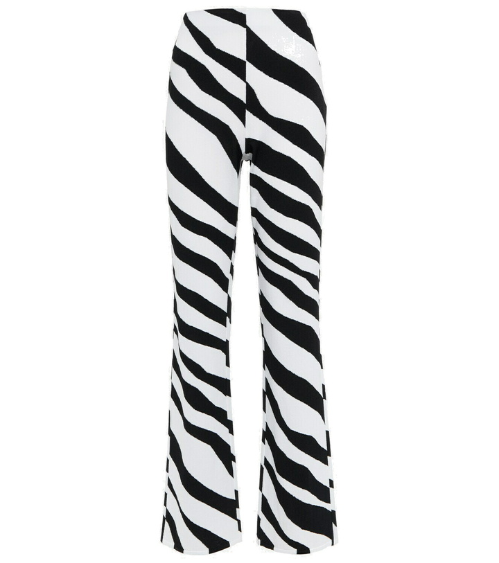 Photo: Missoni - Zebra-print pants