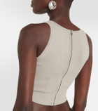 Dion Lee Cropped ribbed-knit bustier