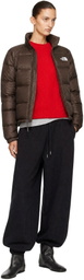 The North Face Brown Hydrenalite Down Jacket