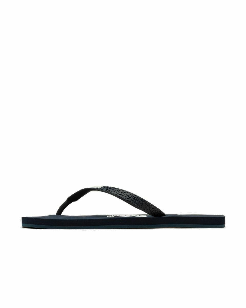 Havaianas vilebrequin on sale