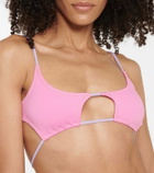 Reina Olga Theresa bikini top