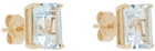Mateo Gold & Blue Topaz Stud Earrings