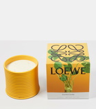 Loewe Home Scents Wasabi Large scented candle
