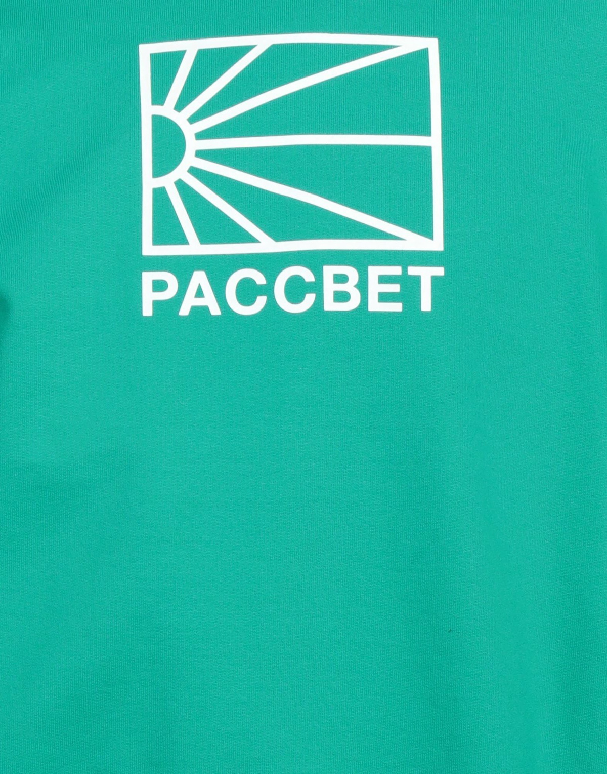 Rassvet Mens Sweatshirt in Green