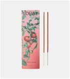 Loewe Home Scents Tomato Leaves incense sticks