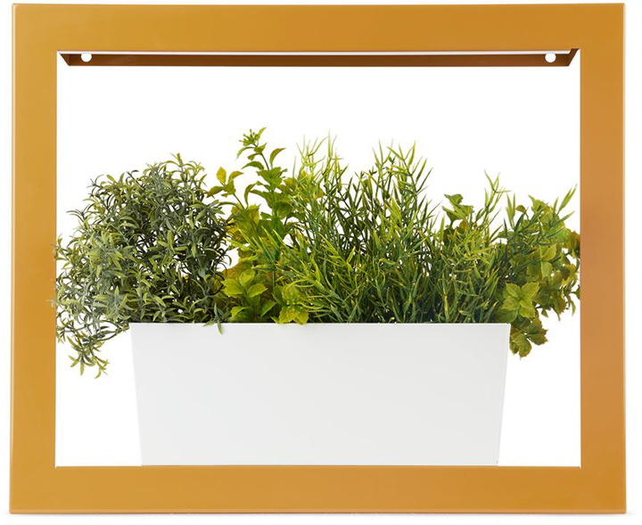 Photo: Modern Sprout Yellow Smart Growframe Planter