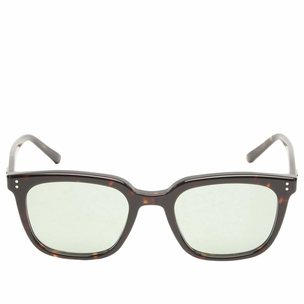 Gentle Monster Daze Sunglasses in Tortoise/Green 