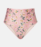 Agua by Agua Bendita Magenta floral bikini bottoms