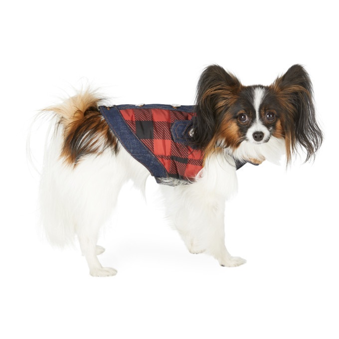 Photo: Dsquared2 Black and Red Poldo Dog Couture Edition Small Toronto Vest