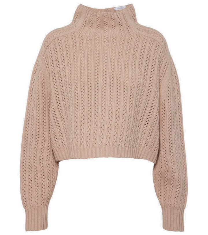 Photo: Max Mara Hodeida wool and cashmere sweater