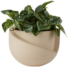 Light and Ladder Beige Vayu Planter