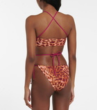 Stella McCartney - Leopard-print bikini bottoms