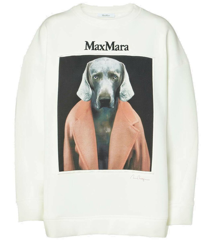 Photo: Max Mara Bacco printed cotton-blend sweatshirt
