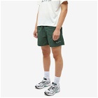 Museum of Peace and Quiet Men's Wordmark Nylon 5" Shorts in Forest