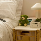BEAMS JAPAN Teddy Bear in Matcha 