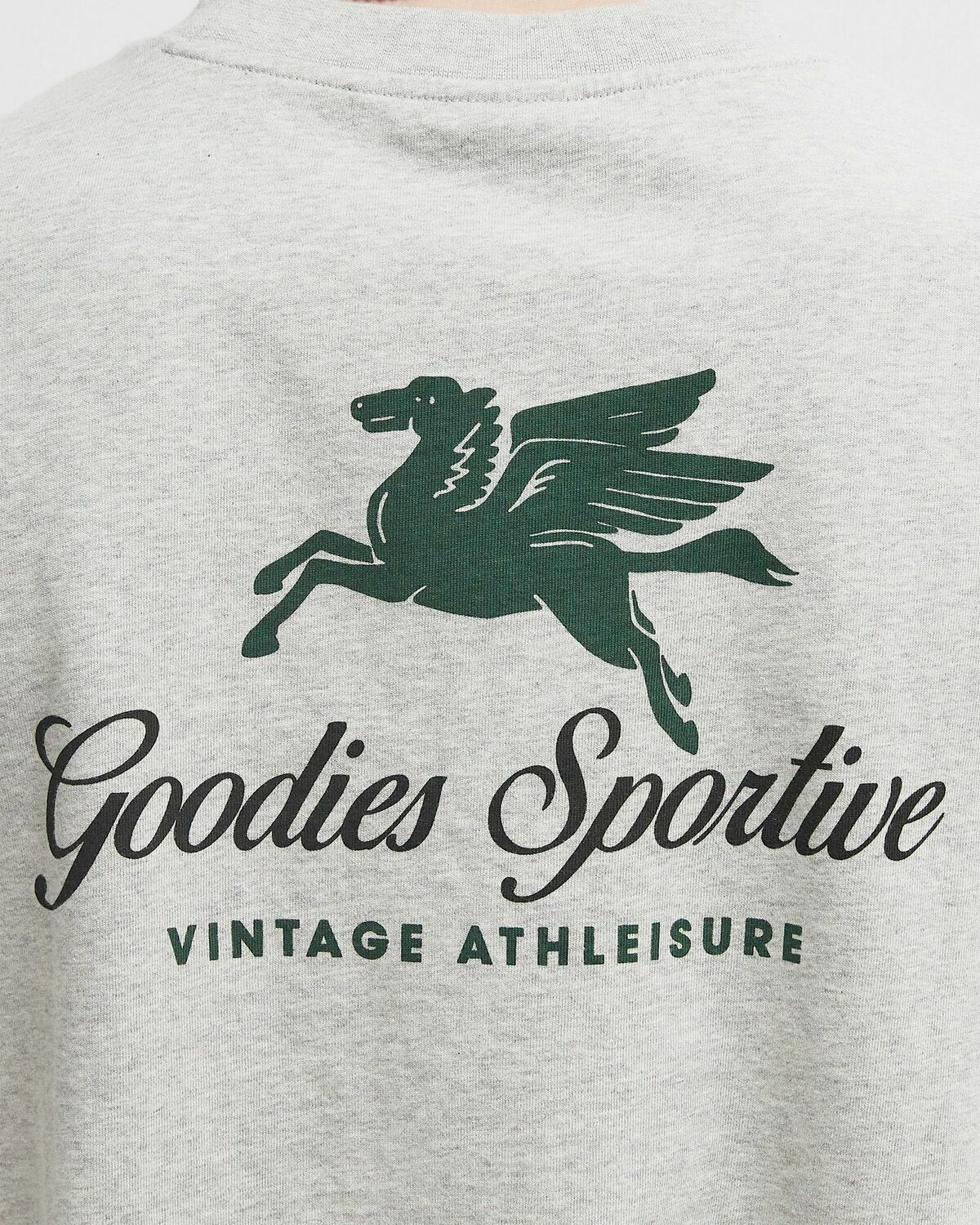 PEGASUS VIGORE
