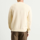 Percival Men's Public Library Knitted Crew Jumper in Ecru