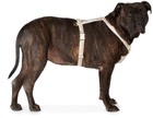 See Scout Sleep Beige & Blue Extra Large Nice Grill Standard Harness