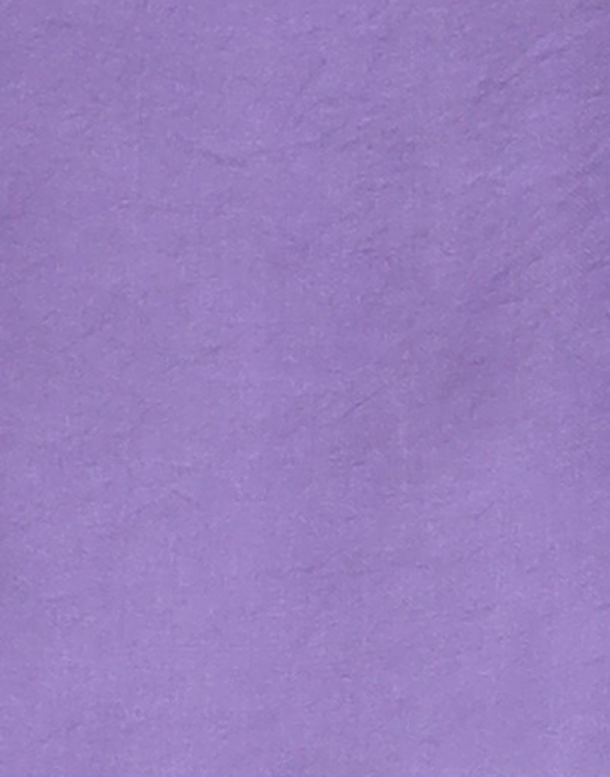 Berna Womens Top in Purple
