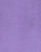 Berna Womens Top in Purple