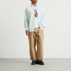 Polo Ralph Lauren Men's Button Down Stripe Oxford Shirt in Hillside Green/White