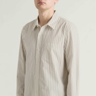Corridor Men's Poplin Stripe LS in Natural