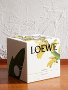 LOEWE Perfumes - Banoffee Midi Scented Candle - Brown