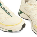 Salomon XT-6 EXPANSE Sneaker in Vanilla Ice/Almond Milk/Eden