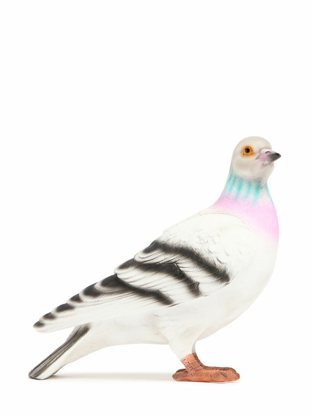 Photo: JW ANDERSON Jw Pride Pigeon Clutch